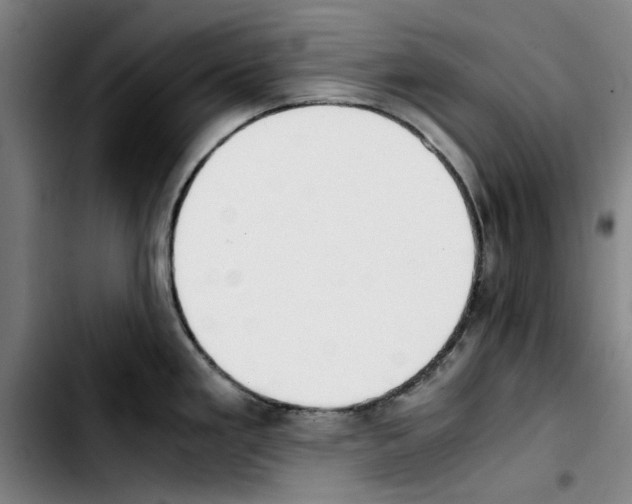 X0000103431293200810241049