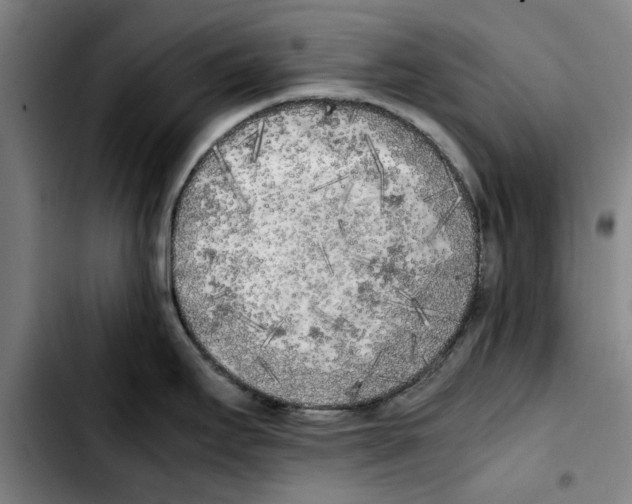 X0000103431295200810241049