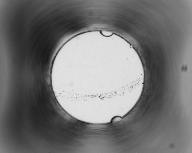 X0000103431296200810241049