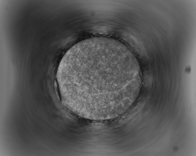 X0000103431297200810241049