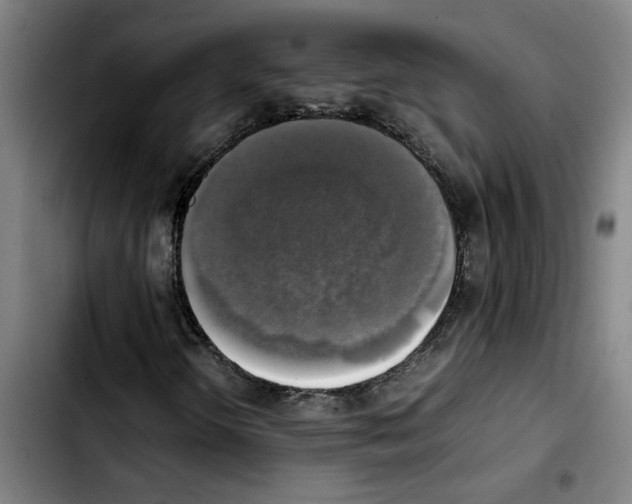 X0000103431298200810241049