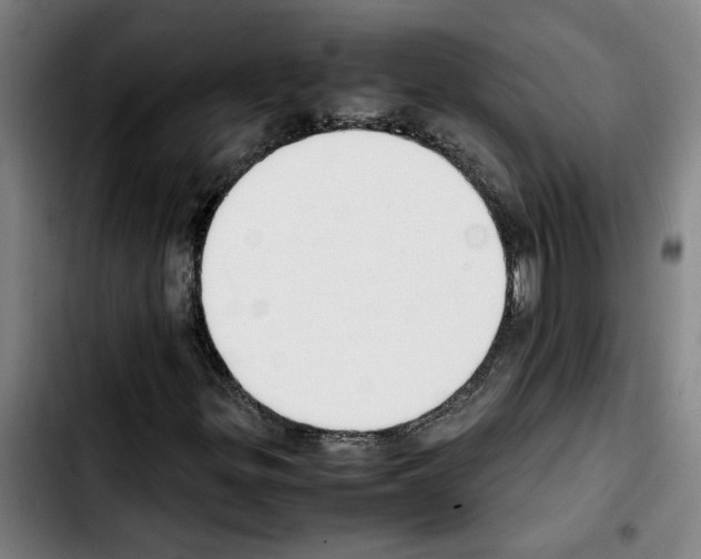 X0000103431299200810241049