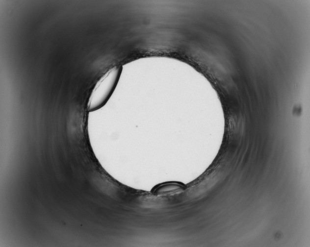 X0000103431300200810241049