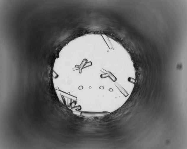X0000103431301200810241049