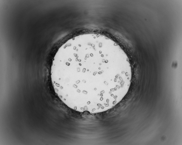 X0000103431302200810241049