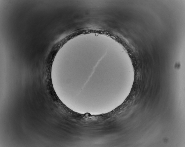 X0000103431303200810241049
