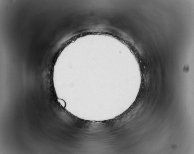 X0000103431304200810241049