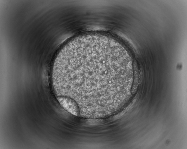 X0000103431305200810241049