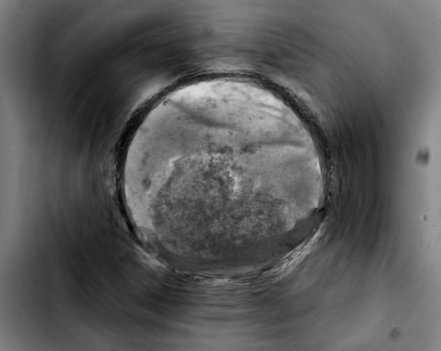 X0000103431306200810241049