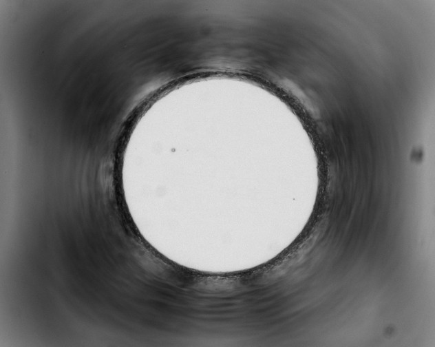 X0000103431307200810241049