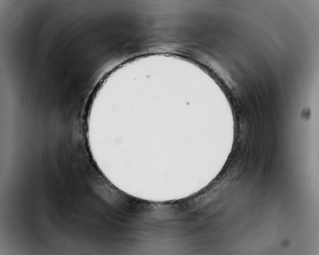 X0000103431308200810241049