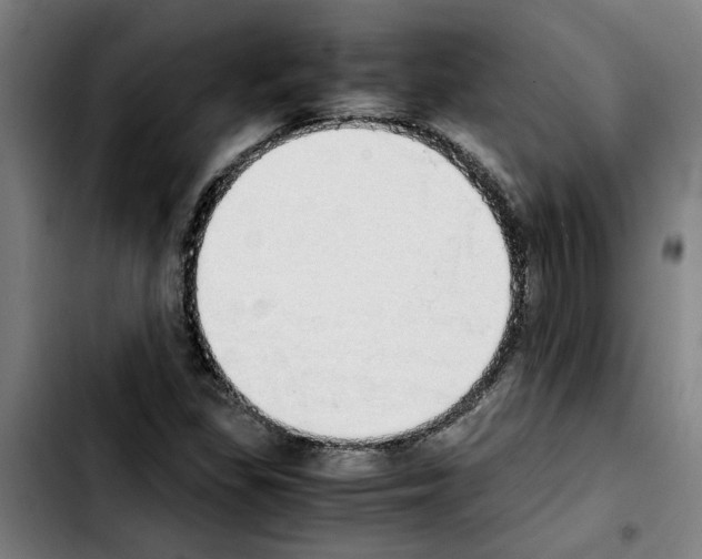 X0000103431309200810241049