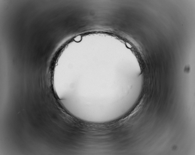 X0000103431310200810241049
