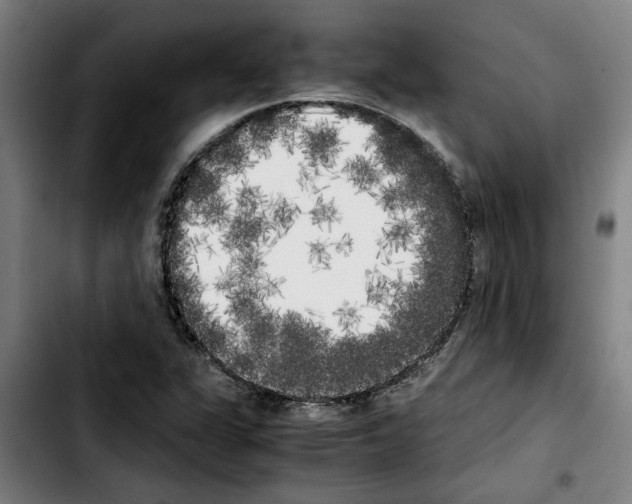 X0000103431311200810241049