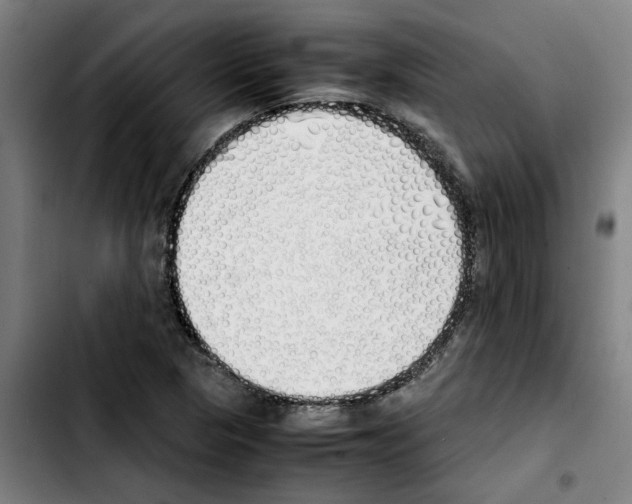 X0000103431313200810241049