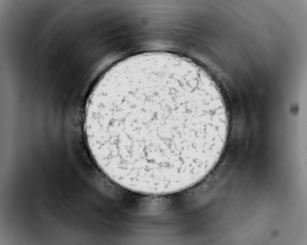 X0000103431314200810241049