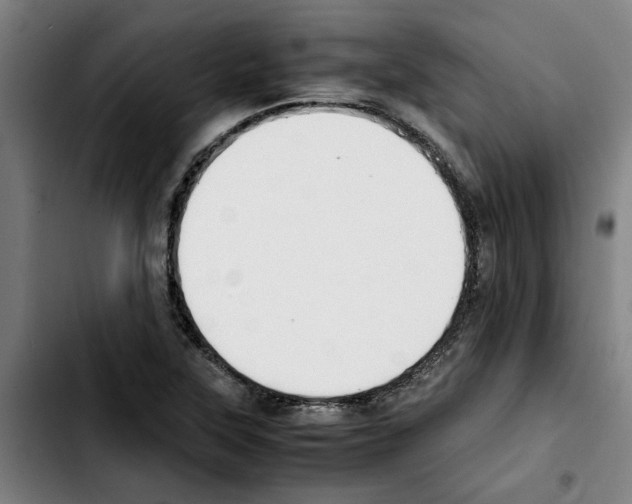 X0000103431315200810241049