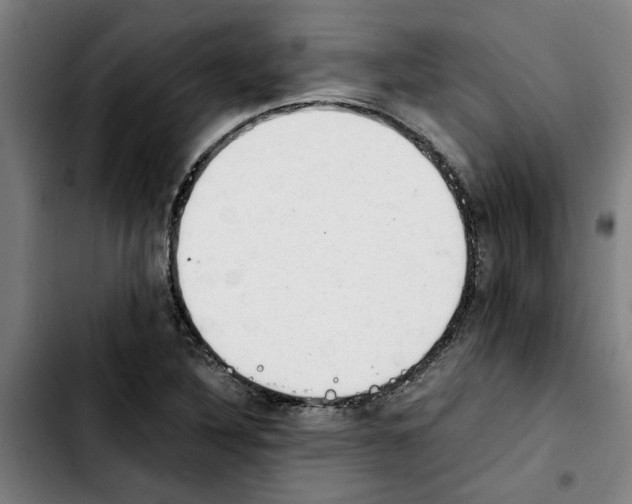 X0000103431316200810241049