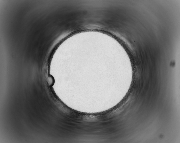 X0000103431317200810241049