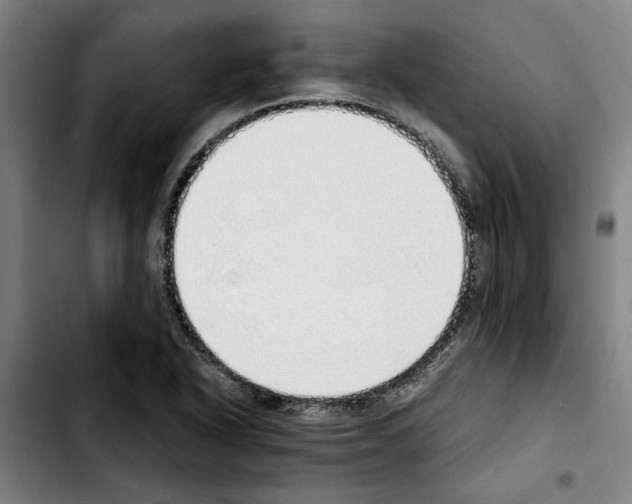 X0000103431318200810241049