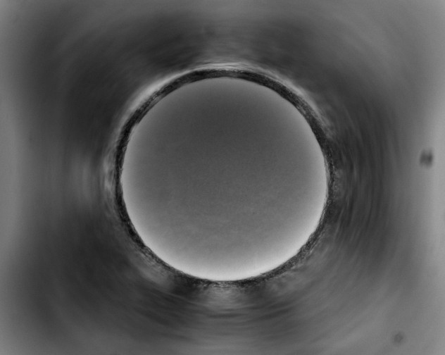 X0000103431319200810241049