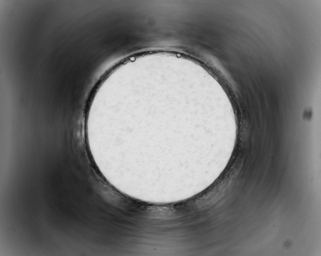 X0000103431320200810241049