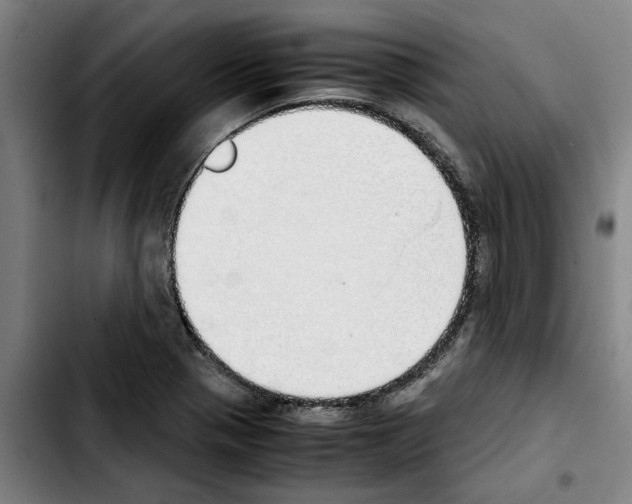 X0000103431321200810241049