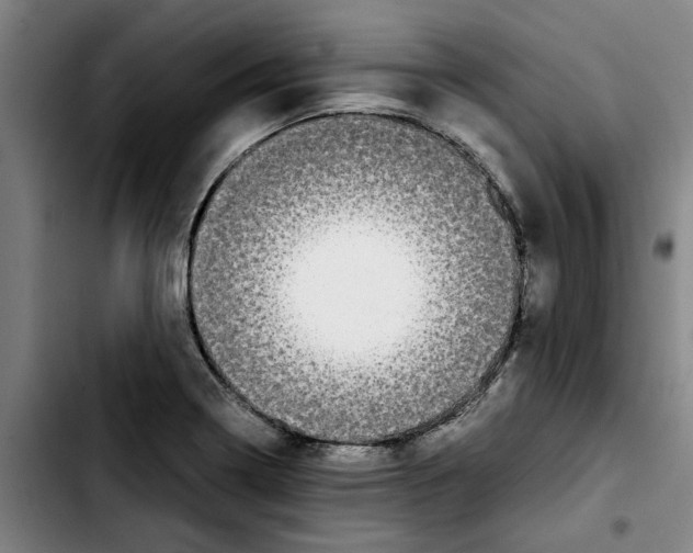 X0000103431322200810241049