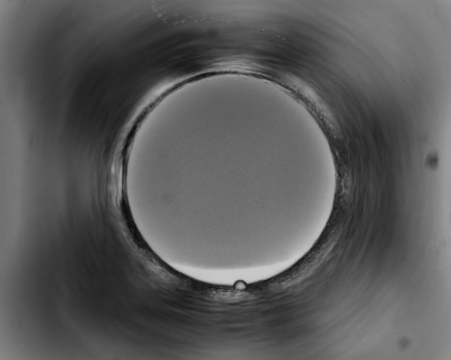 X0000103431323200810241049