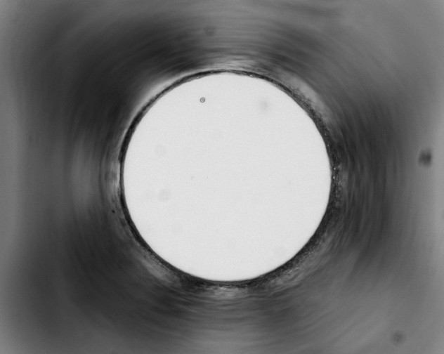 X0000103431324200810241049