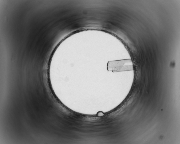 X0000103431325200810241049