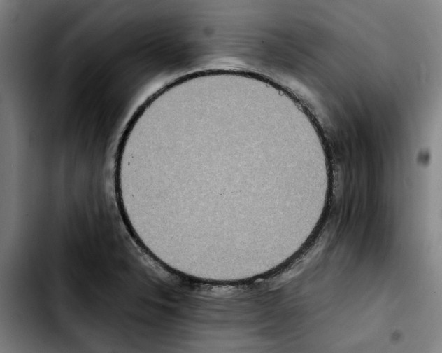 X0000103431326200810241049