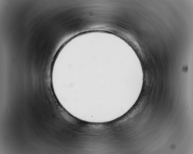 X0000103431328200810241049