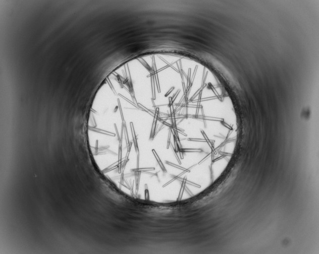 X0000103431329200810241049