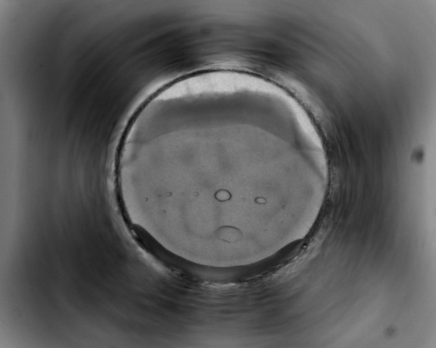 X0000103431331200810241049