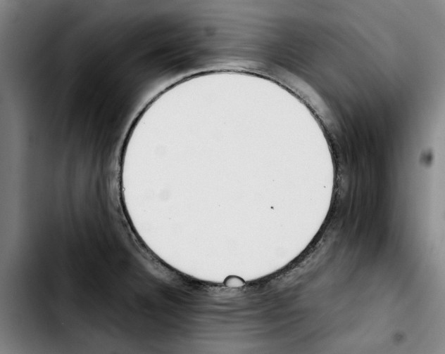 X0000103431332200810241049