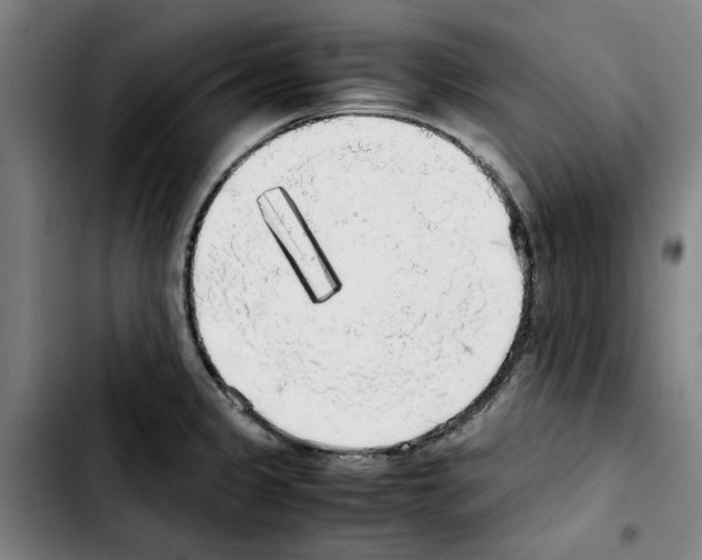 X0000103431333200810241049