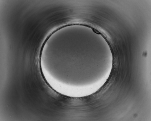 X0000103431334200810241049