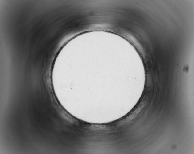 X0000103431336200810241049