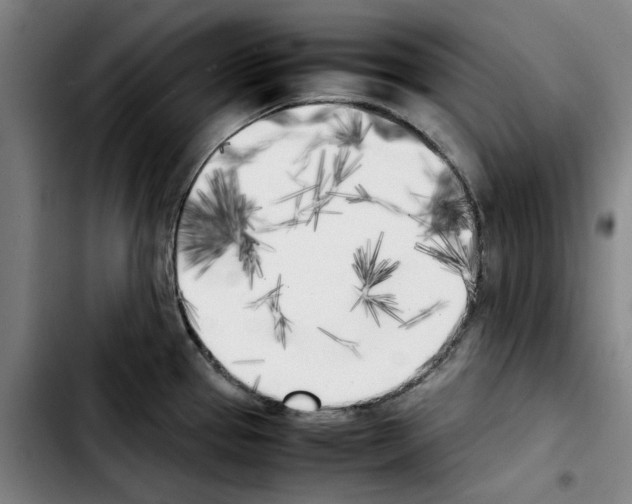 X0000103431337200810241049