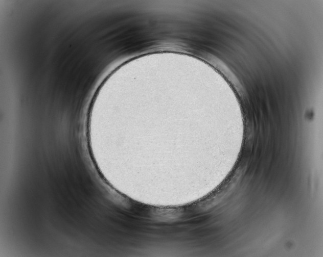 X0000103431339200810241049
