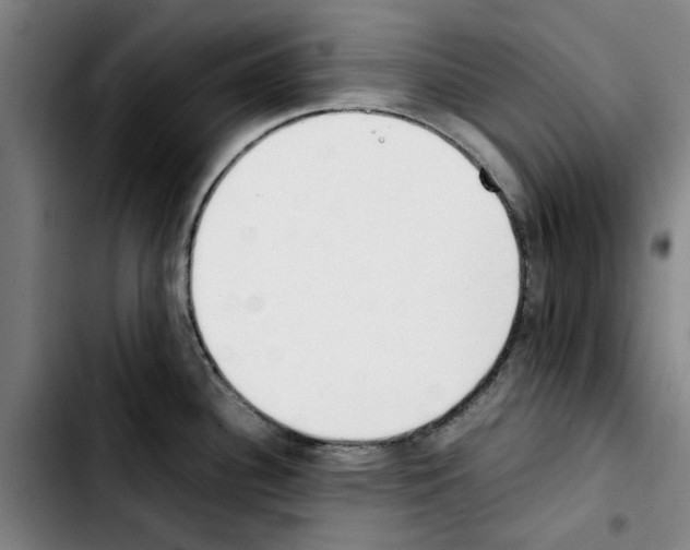 X0000103431340200810241049