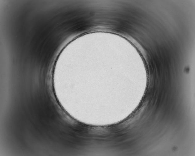 X0000103431341200810241049