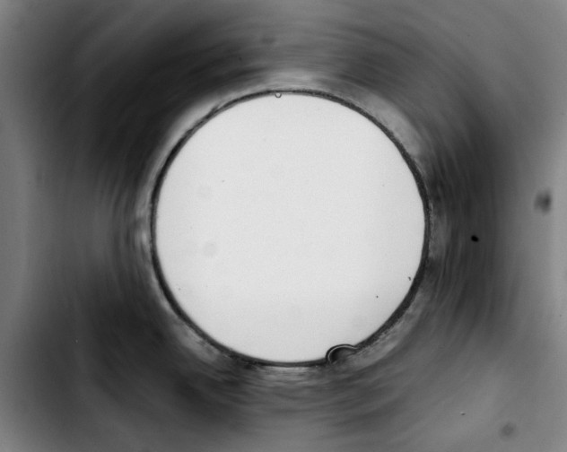 X0000103431342200810241049