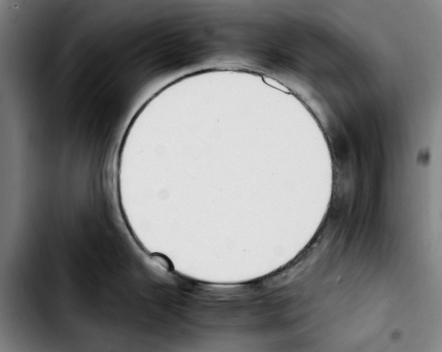 X0000103431343200810241049