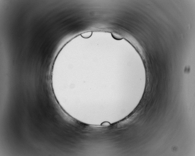 X0000103431344200810241049