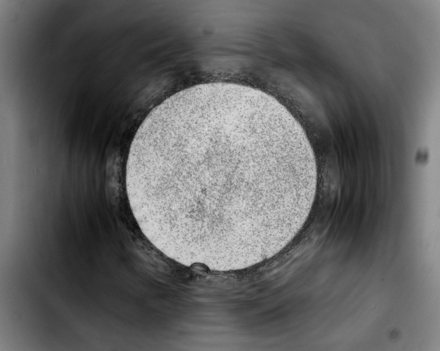 X0000103431346200810241049