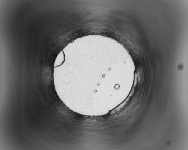 X0000103431347200810241049