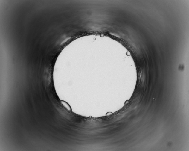 X0000103431348200810241049