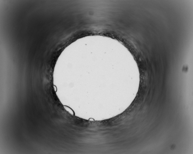 X0000103431349200810241049